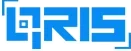 QRIS